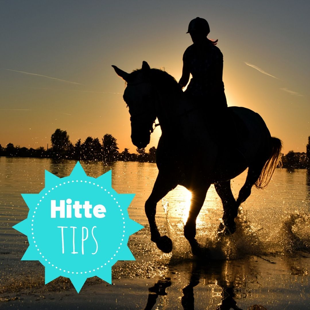 Tips voor tijdens een hittegolf